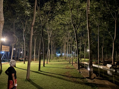 Scentral Park pathway