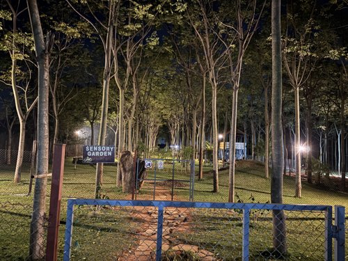 Scentral Park pathway